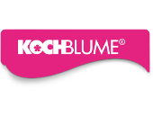 Kochblume
